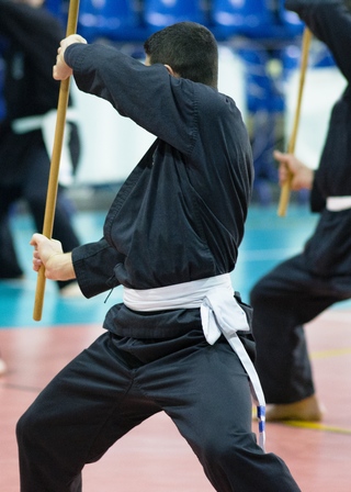 Stage sport de combat, Colonie de vacances Ulysséo, Arts martiaux